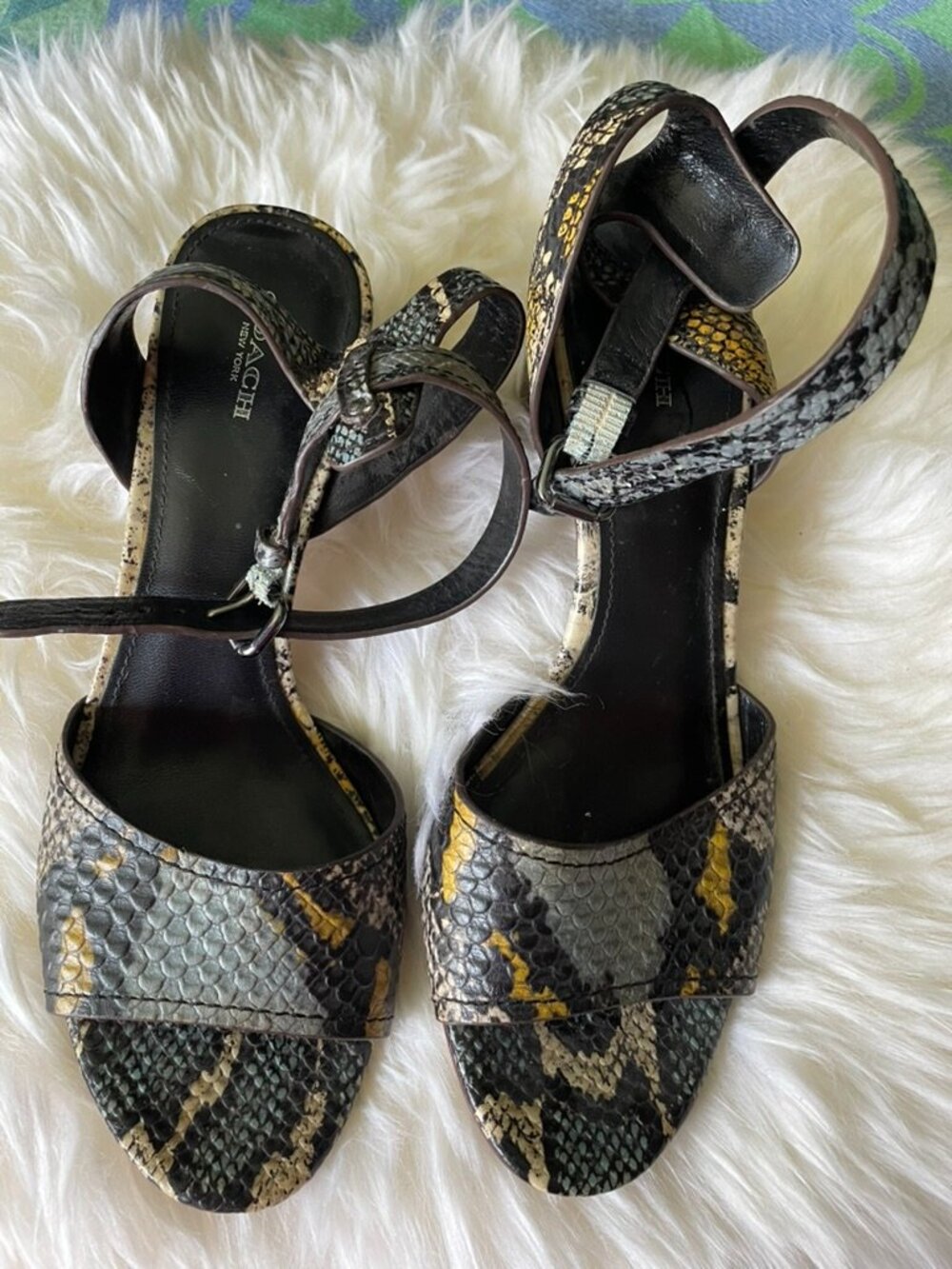 COACH Heeled Sandal with Blue/Yellow/White Snake Print